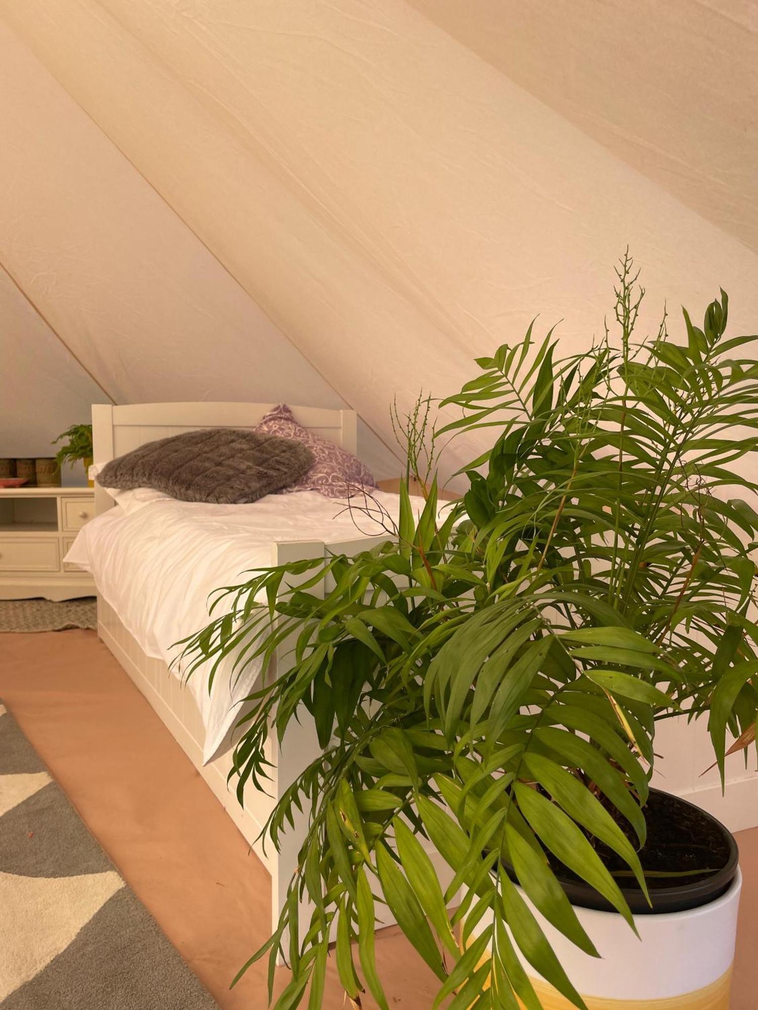 Trevena Cross Glamping & Camping Helston Eksteriør billede