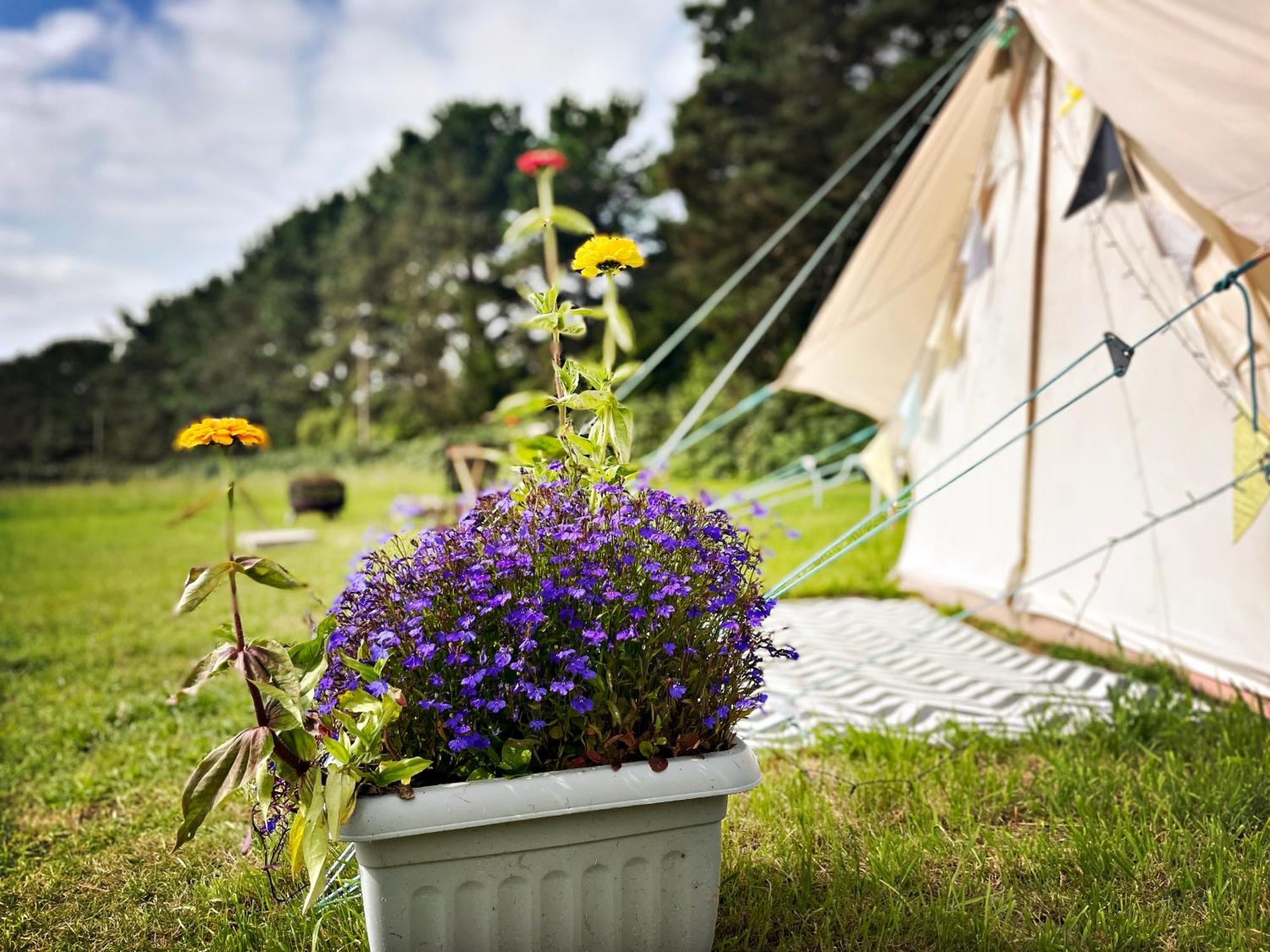 Trevena Cross Glamping & Camping Helston Eksteriør billede