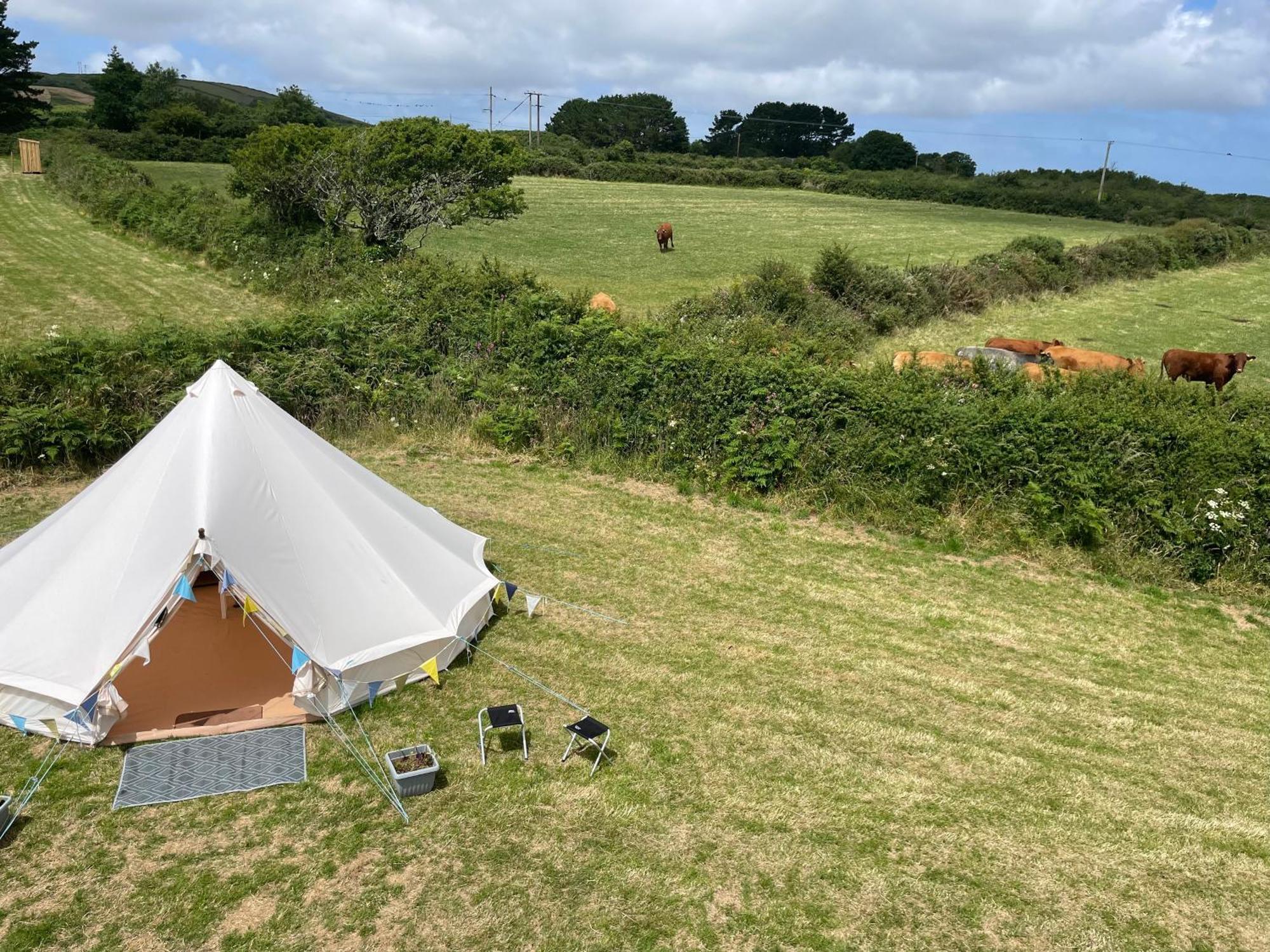Trevena Cross Glamping & Camping Helston Eksteriør billede